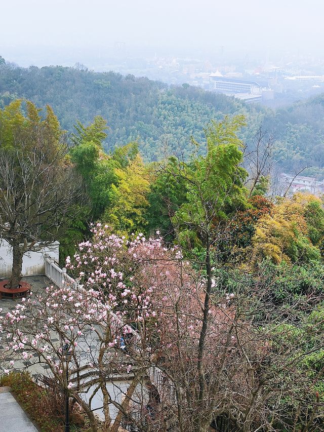 春遊松江 佘山國家森林公園挺美的！