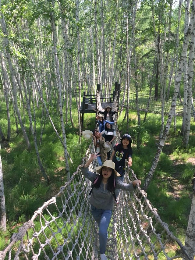 草原之旅，心靈暢遊呼倫貝爾