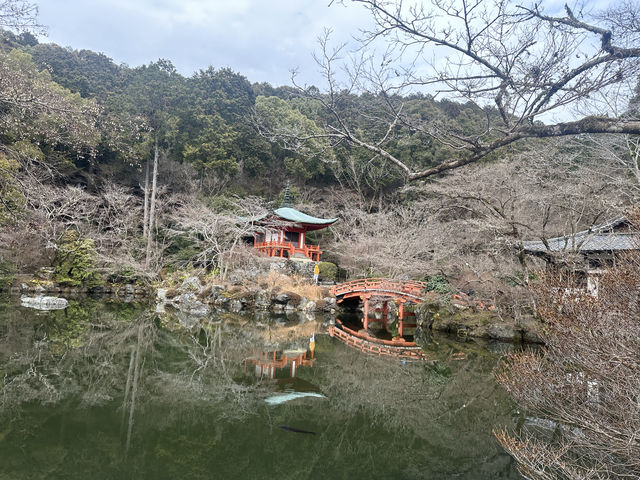 日本旅行——那些值得一去的地方