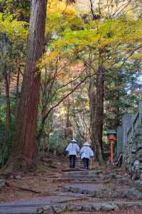 愛媛尋秋色，山間徒步一日