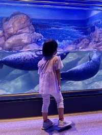 上海雲上海洋館玩轉企鵝 水母 海獅 海龜 超夢幻