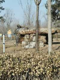 秦皇島野生動物園|帶娃投喂的快樂