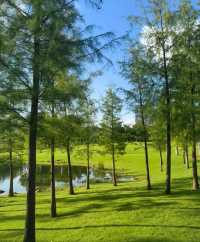 不在國外！在深圳香蜜湖公園也太浪漫了吧