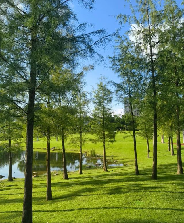 不在國外！在深圳香蜜湖公園也太浪漫了吧