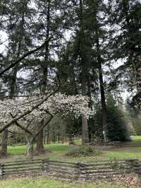 大溫地區的中央公園