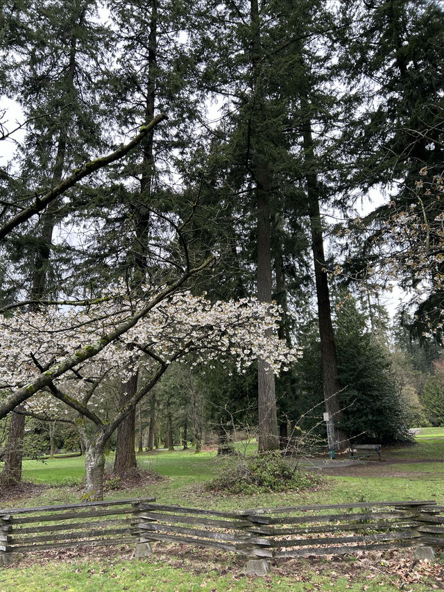大溫地區的中央公園