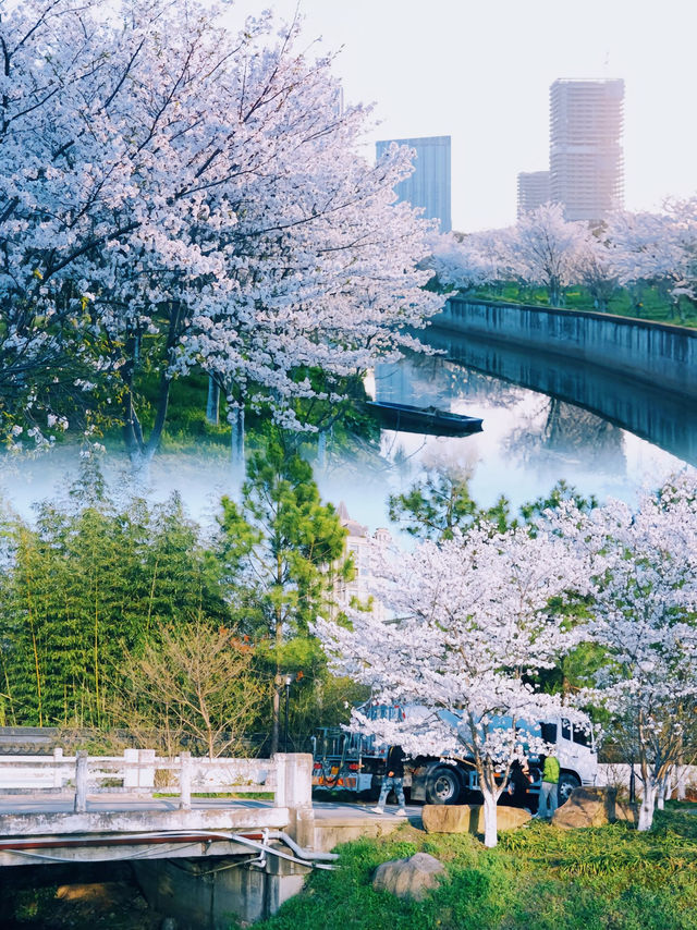 嘉興植物園，今日開園啦！簡直太好拍！