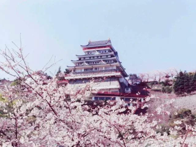 Atami Hanami