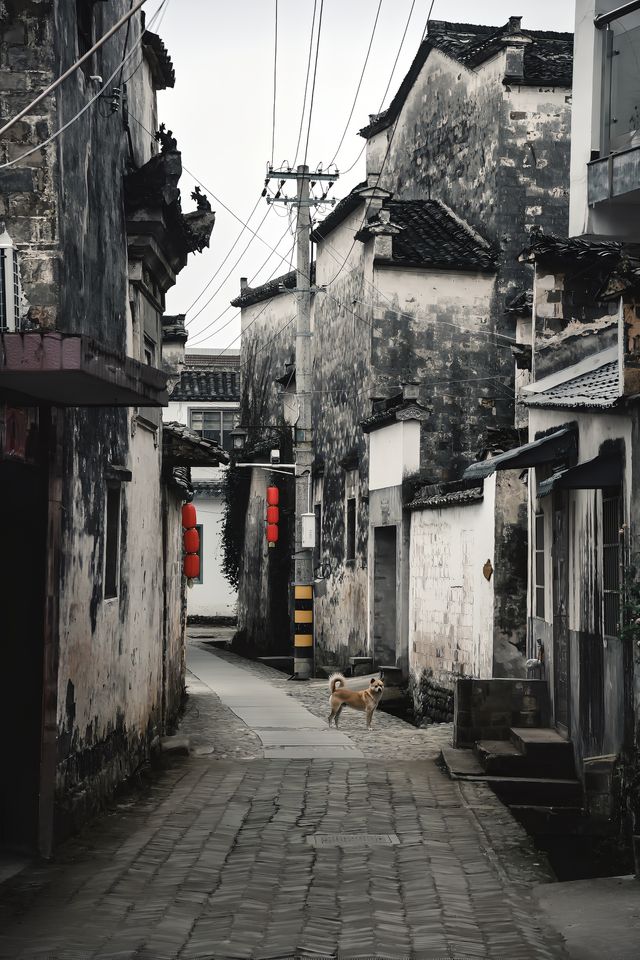 李白賦詩，碧山書局，又挖到個皖南遺世村落