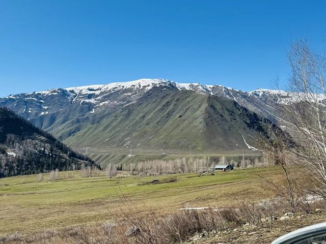 禾木與雪峰、森林、草地、藍天白雲最相襯