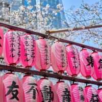 東京酒店：東急澀谷藍塔大酒店傲立澀谷中心