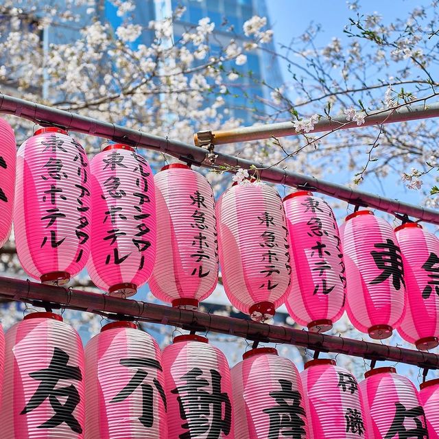 東京酒店：東急澀谷藍塔大酒店傲立澀谷中心