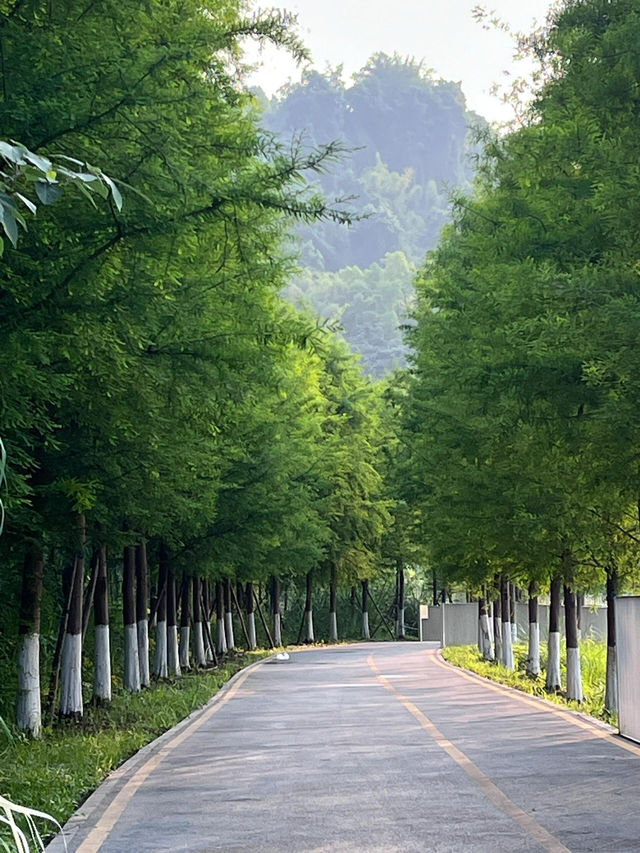 重慶的隱藏寶石 - 禮嘉智慧公園