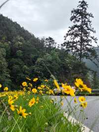 【江西美景】在上堡梯田感受最美田園