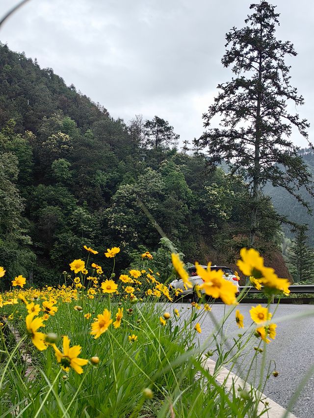 【江西美景】在上堡梯田感受最美田園