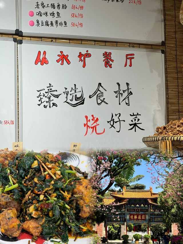 走斷腿的一天，昆明當真是滿樹繁花
