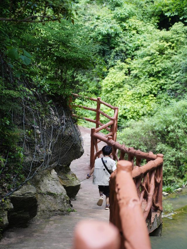 宜昌冷門寶藏打卡地：三峽九鳳谷，一個有很多瀑布的地方