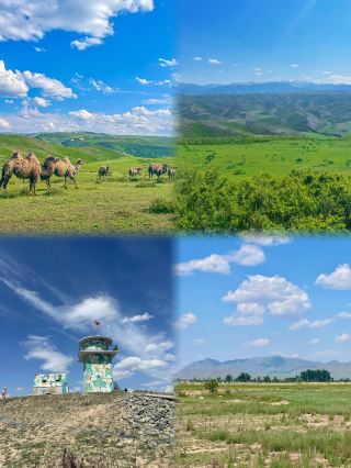 Coming to this land, what surges in the heart is an endless deep affection for the country and home