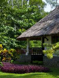 🌴🏖️ Kerala's Carnoustie Retreat: A Serene Getaway 🧘‍♂️✨