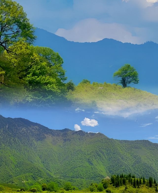 來黑竹溝景區，開啟初夏美好時光