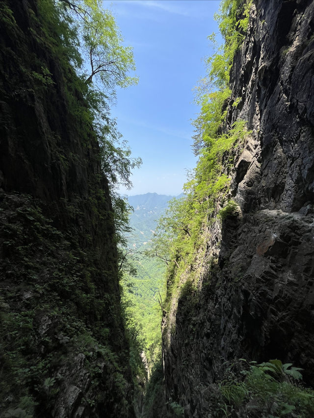 西安周邊遊∣尋夢大秦嶺•問道塔雲山