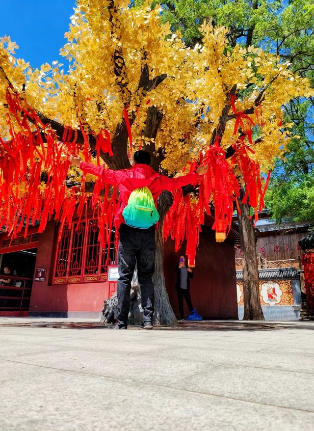 錦州青岩寺大手一捏