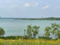 長沙夏天也能賞花這3個地方能遛娃還出片