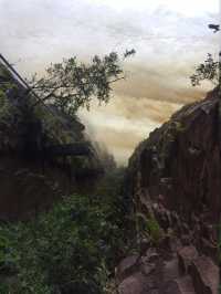 穿梭雲霧間，揭秘委內瑞拉的天空之境——卡奈瑪國家公園