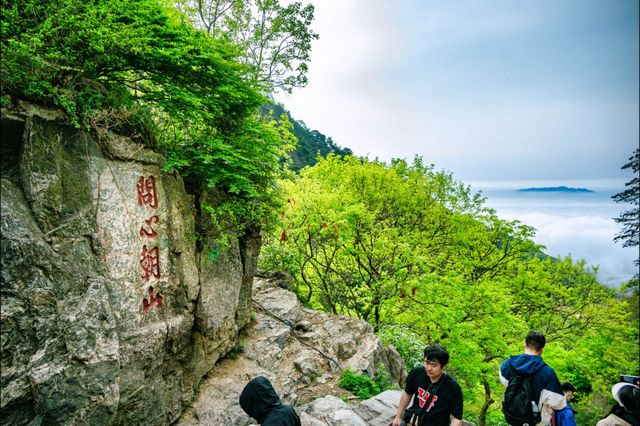 正是魅力如此