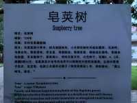 竹林水鄉西張趕