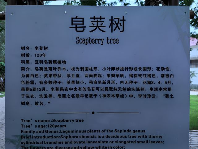 竹林水鄉西張趕
