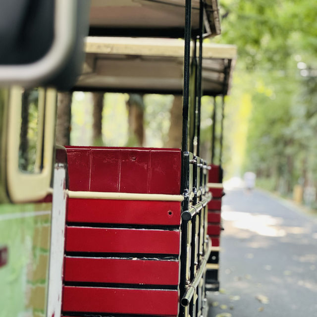 Escape the hustle and recharge at Binhu Forest Park!