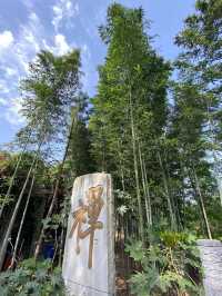 探秘古都遺珠,在西安草堂寺邂逅了一場千年禪意之旅