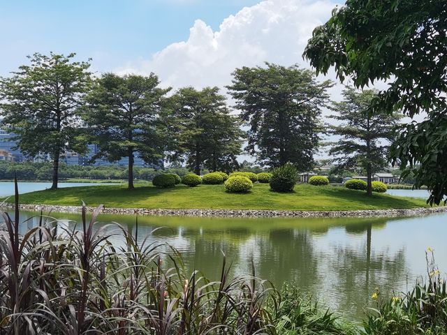 水上槳板飄