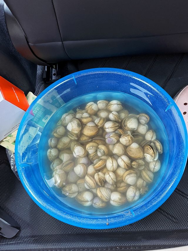 南通的海是普通的海