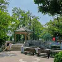 「中山公園」：免費入場，中式風格庭院，還有動物園和相親角