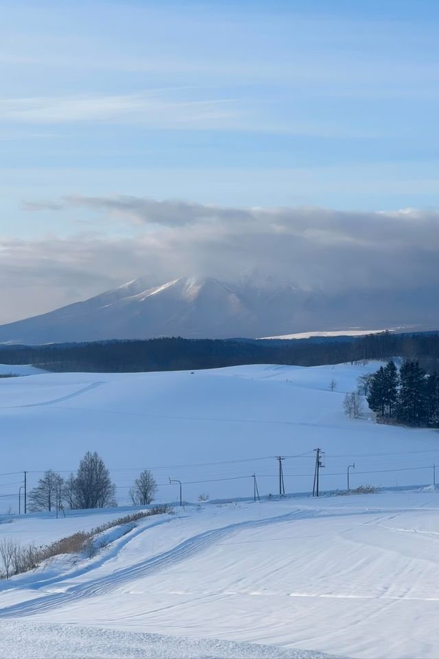 【北海道冬日奇遇】6天5晚，探索北國風光與城市繁華！