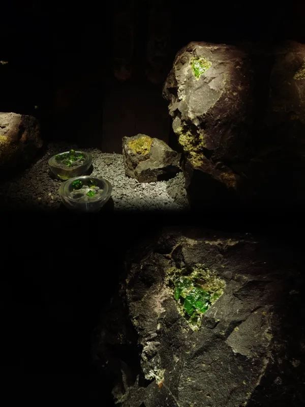 深圳珠寶博物館：免費參觀的寶石天堂💎