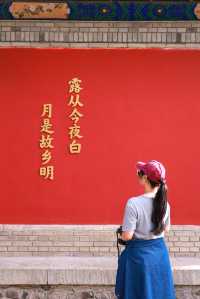 如果說古樹是南郭寺的根，那杜詩就是南郭寺的魂。