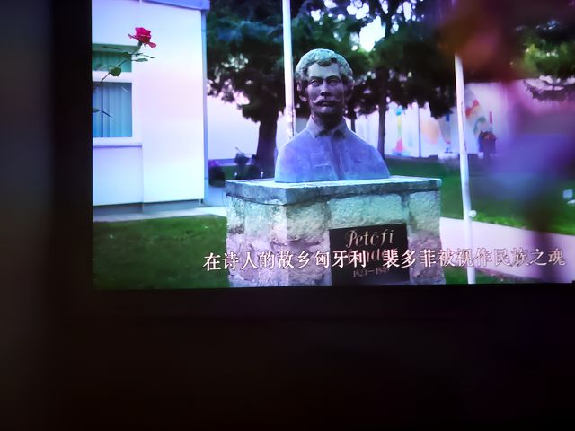 裴多菲特展。