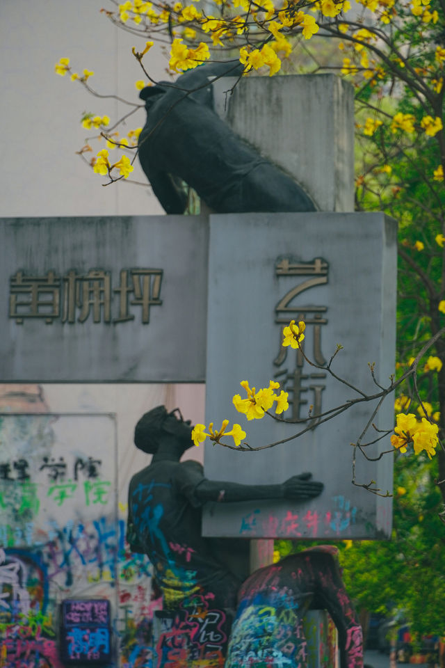 漫步重慶山城步道，領略獨特風情