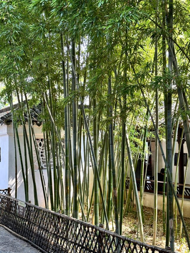 十月份最適合去哪裡旅遊?。 十月份最適合去哪裡旅遊?。