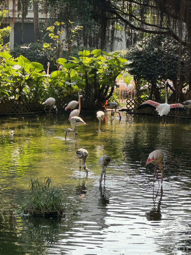 香港感受最好的公園。