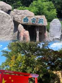 答案在路上，自由在旅途中。