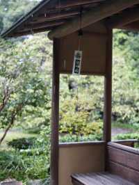 名古屋德川園：古韻與自然的完美融合