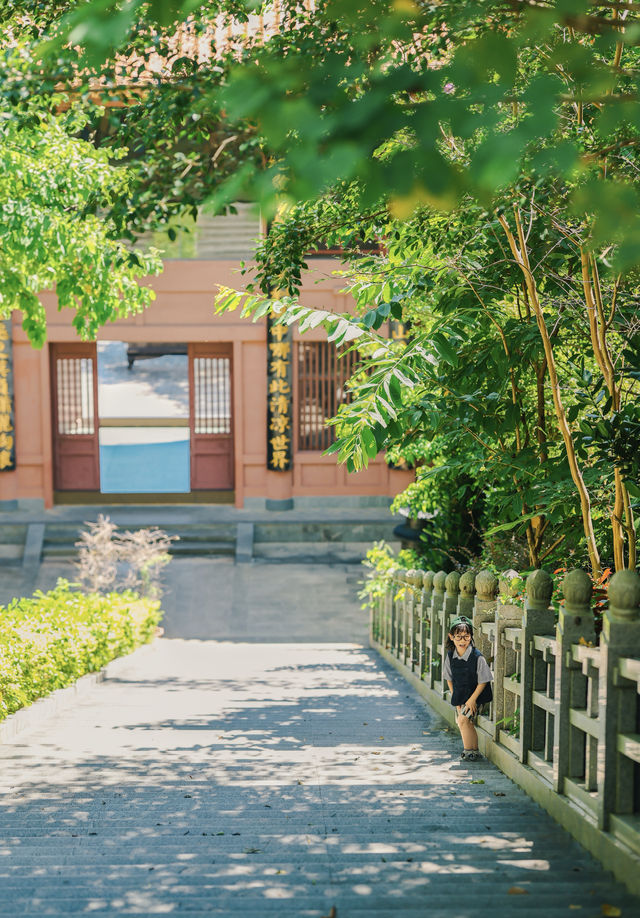 遛娃好去處｜還有誰沒去過河源的巴伐利亞？？。