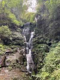 宜賓 僰王山｜遠離霧霾 走進氧吧。