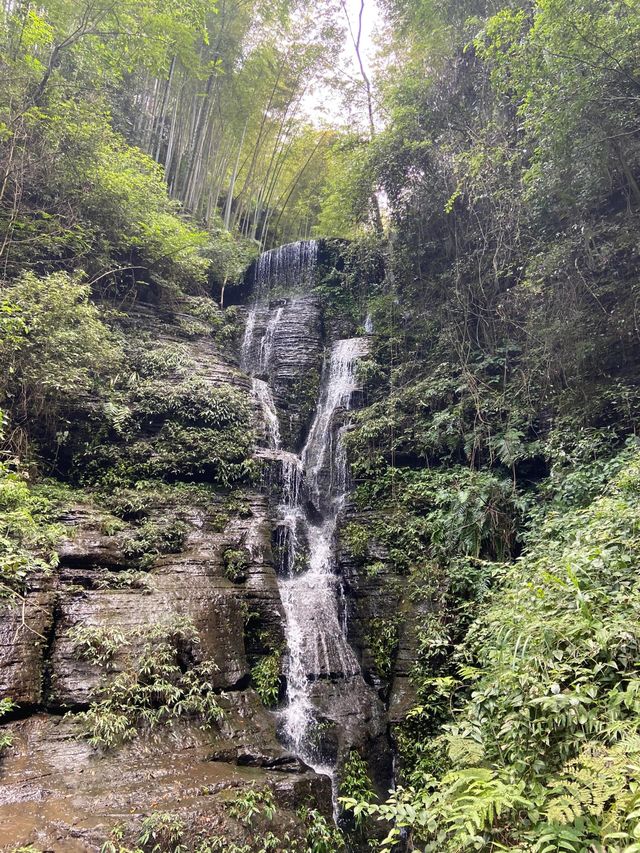 宜賓 僰王山｜遠離霧霾 走進氧吧。