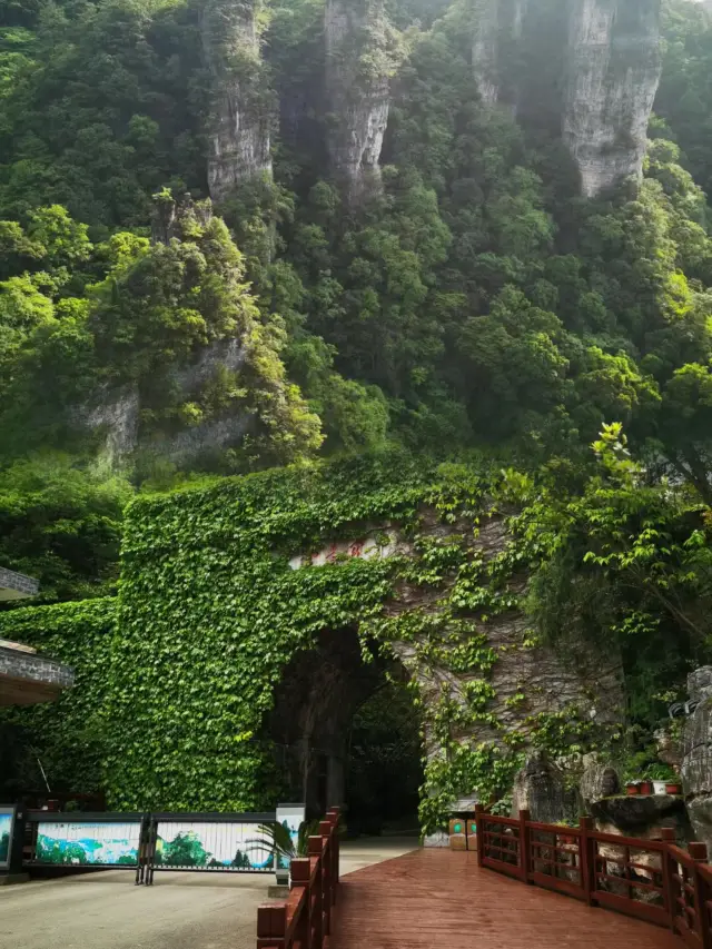 친구들의 SNS를 폭발적으로 장악한 숨은 보물은 장자제에 있지 않고 구이저우에 있습니다.