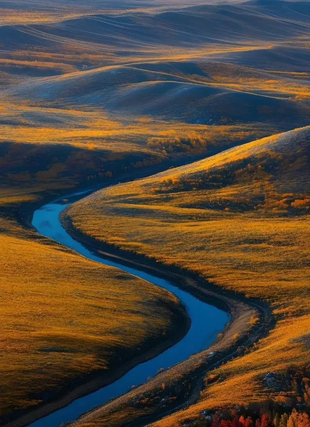 Bashang Grassland.